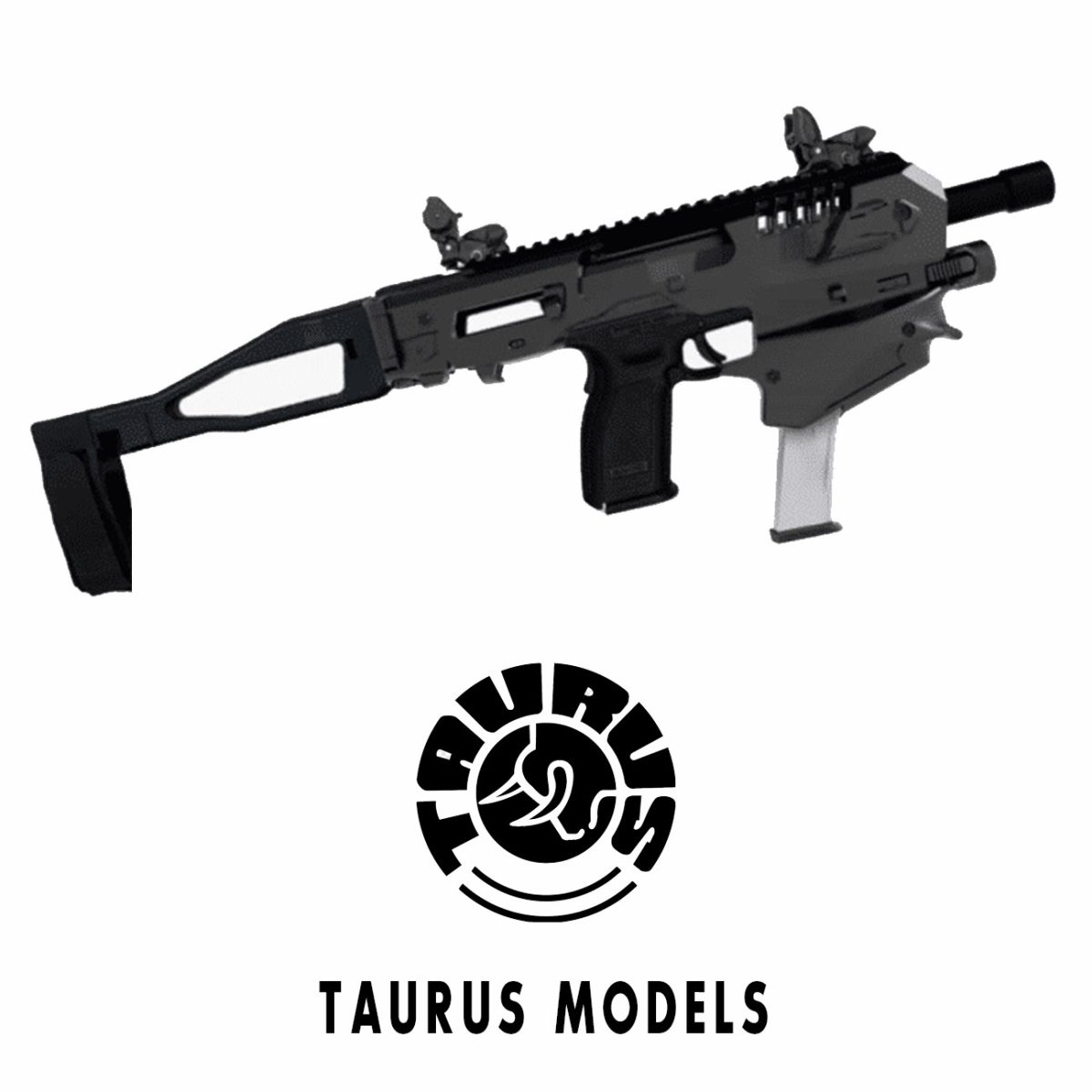 taurus g2c conversion kit